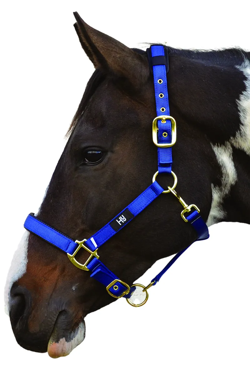 Hy Equestrian Deluxe Padded Head Collar - Navy
